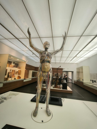 Drážďany a muzeum hygieny/člověka 990 Kč/žák